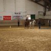 Ponyralley 053